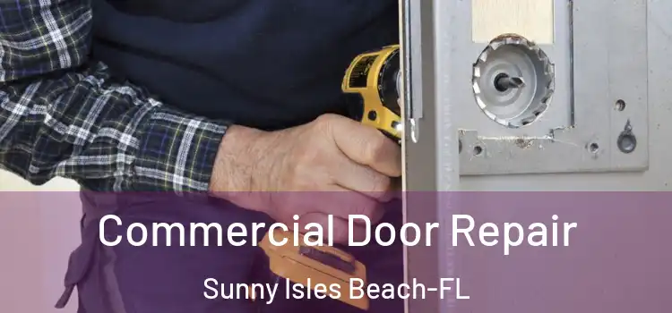 Commercial Door Repair Sunny Isles Beach-FL