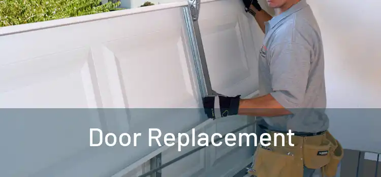  Door Replacement 