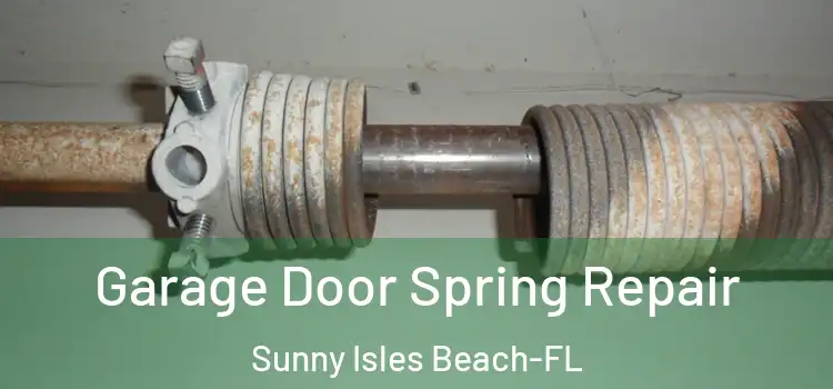  Garage Door Spring Repair Sunny Isles Beach-FL