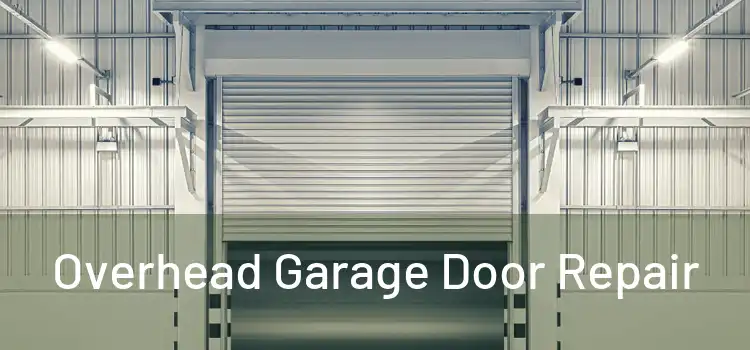  Overhead Garage Door Repair 
